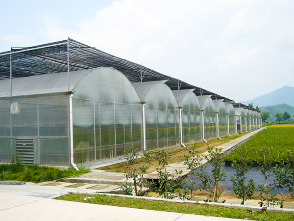 薄膜連棟智能溫室